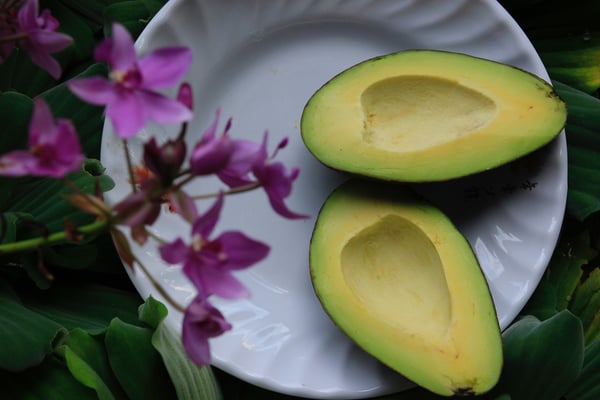 Avocado. 7 Brain Foods to Help You Focus and Boost Productivity this Summer.